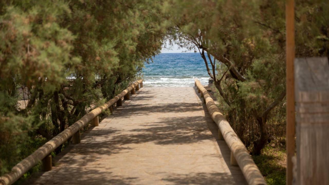 Apartament Riazor, El Medano Beach Zewnętrze zdjęcie